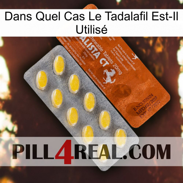 Dans Quel Cas Le Tadalafil Est-Il Utilisé 42